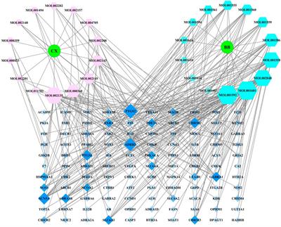 Exploring the pharmacological action mechanism of Ligusticum Chuanxiong-Piper Longum couplet medicines on the treatment of migraine based on network pharmacology